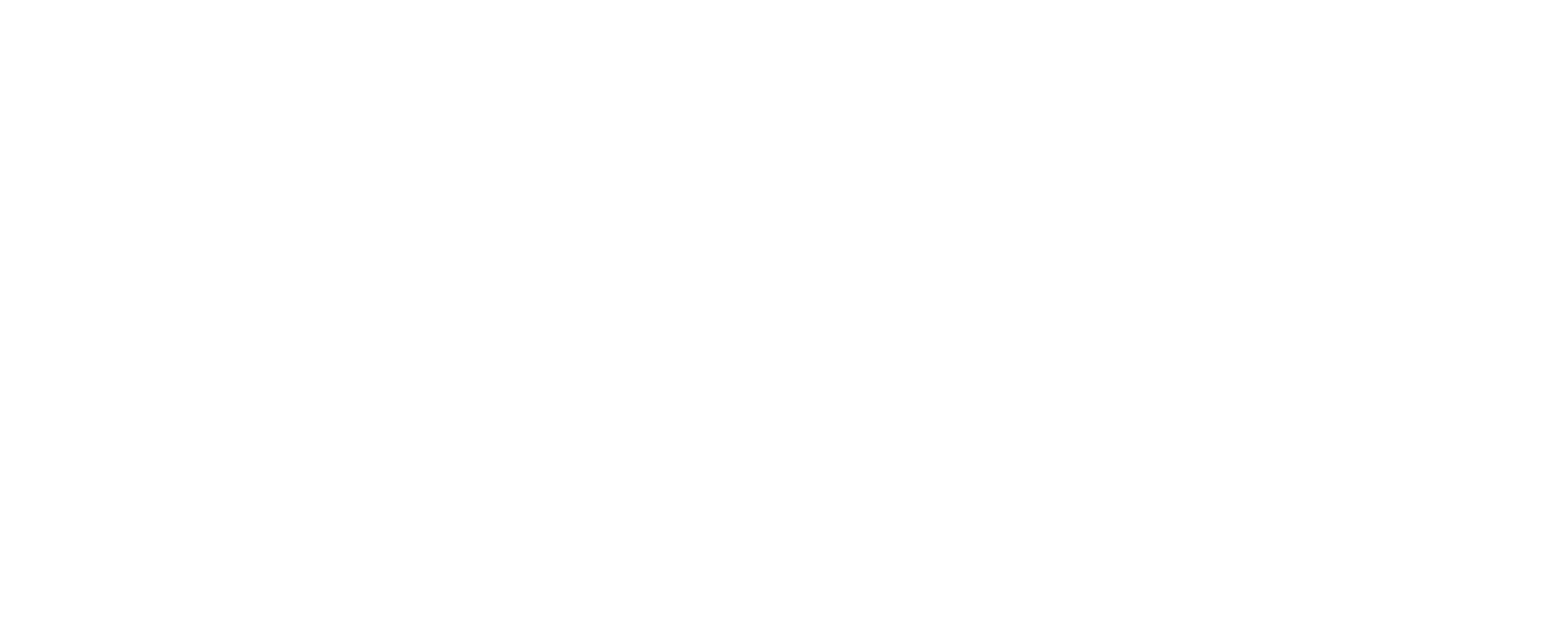 LE LOUIS XIV