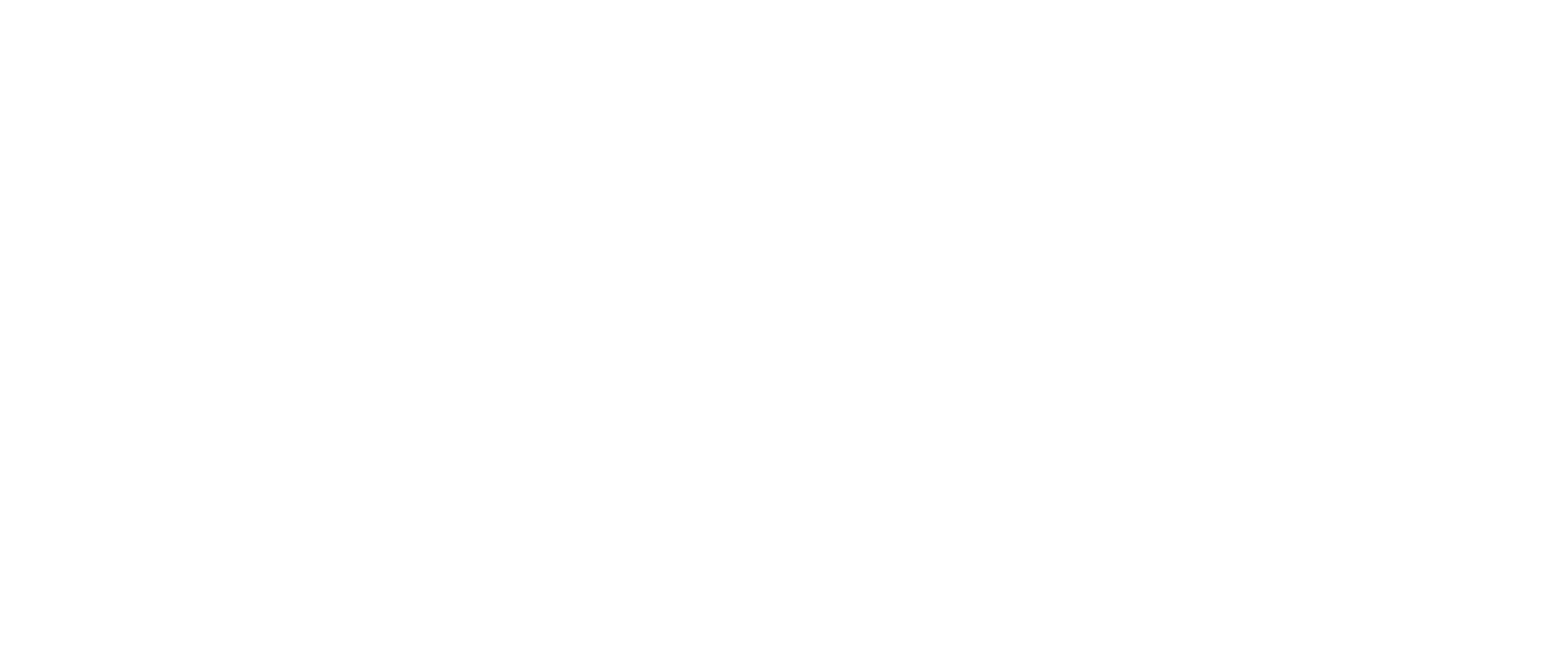 LE LOUIS XIV